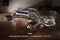 Valvetronic Exhaust System for Porsche Cayman GT4 / Boxster Spyder 718 Pre Feb 20